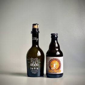 Photo de deux bouteilles de bières
